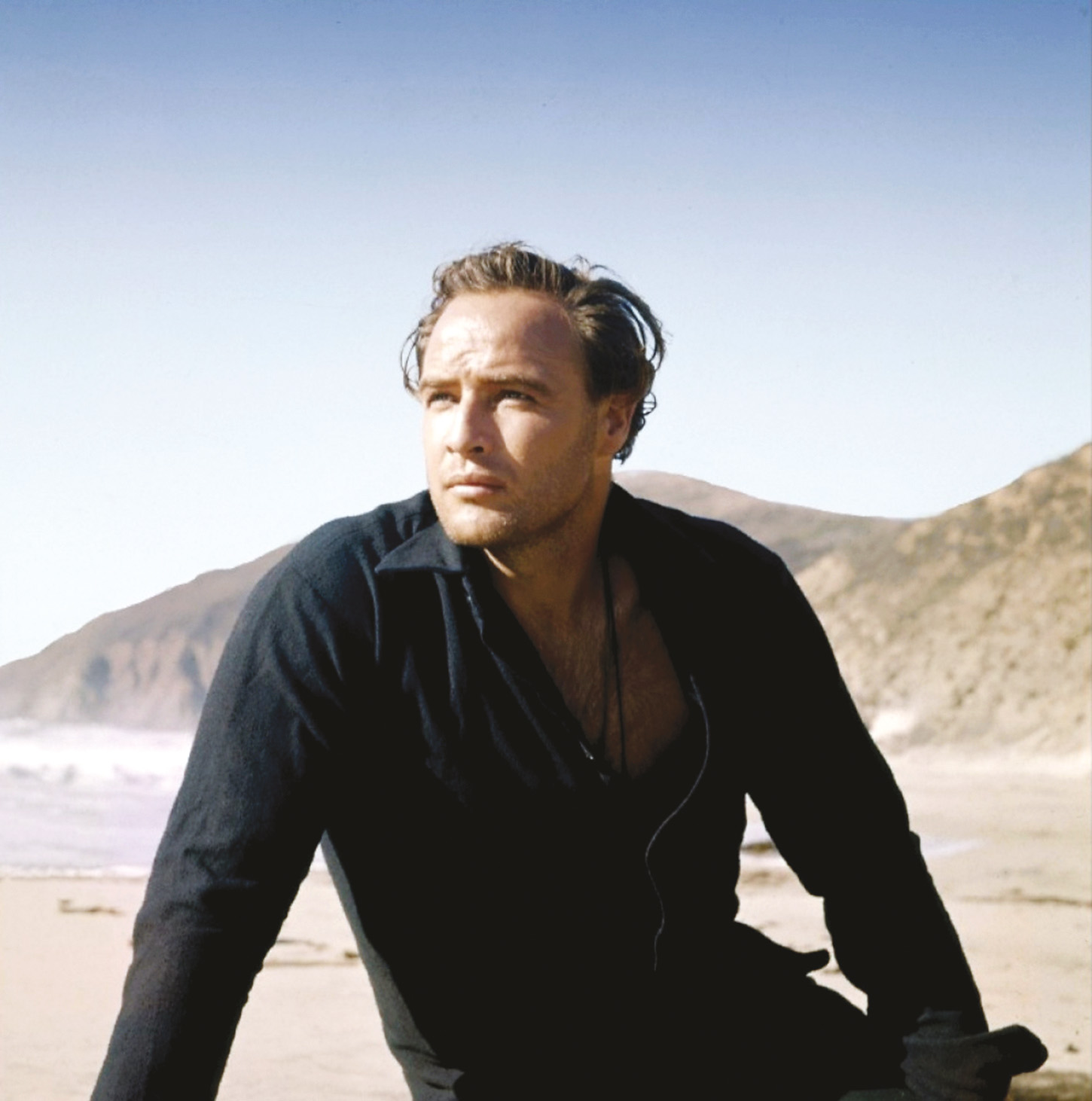 El rostro impenetrable, de Marlon Brando