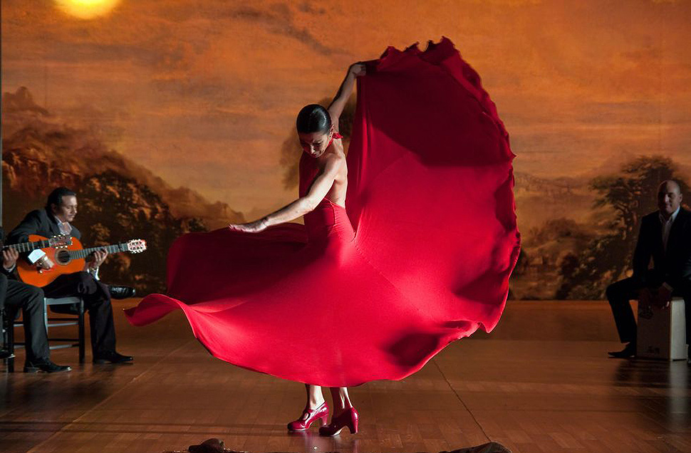 Flamenco, flamenco (2010)