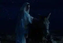 Inmaculada, estreno del documental que explora el misterio de la Inmaculada Concepción Inmaculada (2024)