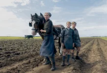 La isla de Amrum La isla de Amrum (2025)
