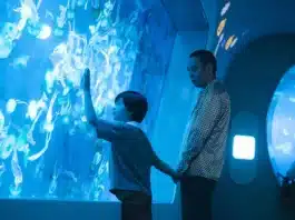 Kakeru Kakeru (2026)