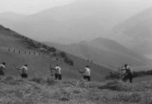 Festival de Sevilla 2026: Wajda, Pelechian y The Chosen amplían la programación The Pelechian Project (2026)
